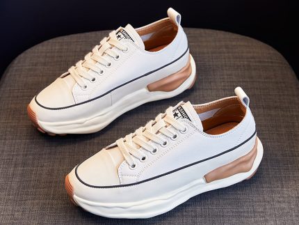 shoe
