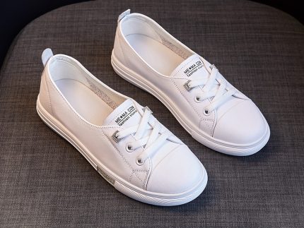 shoe