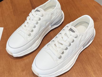 shoe
